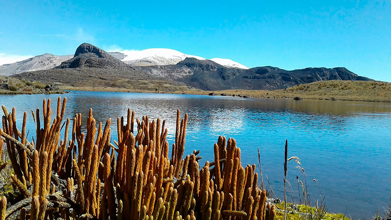 Récord histórico: Colombia recibe 22 millones de visitantes no residentes entre agosto de 2022 y diciembre de 2025, con crecimiento del 134%