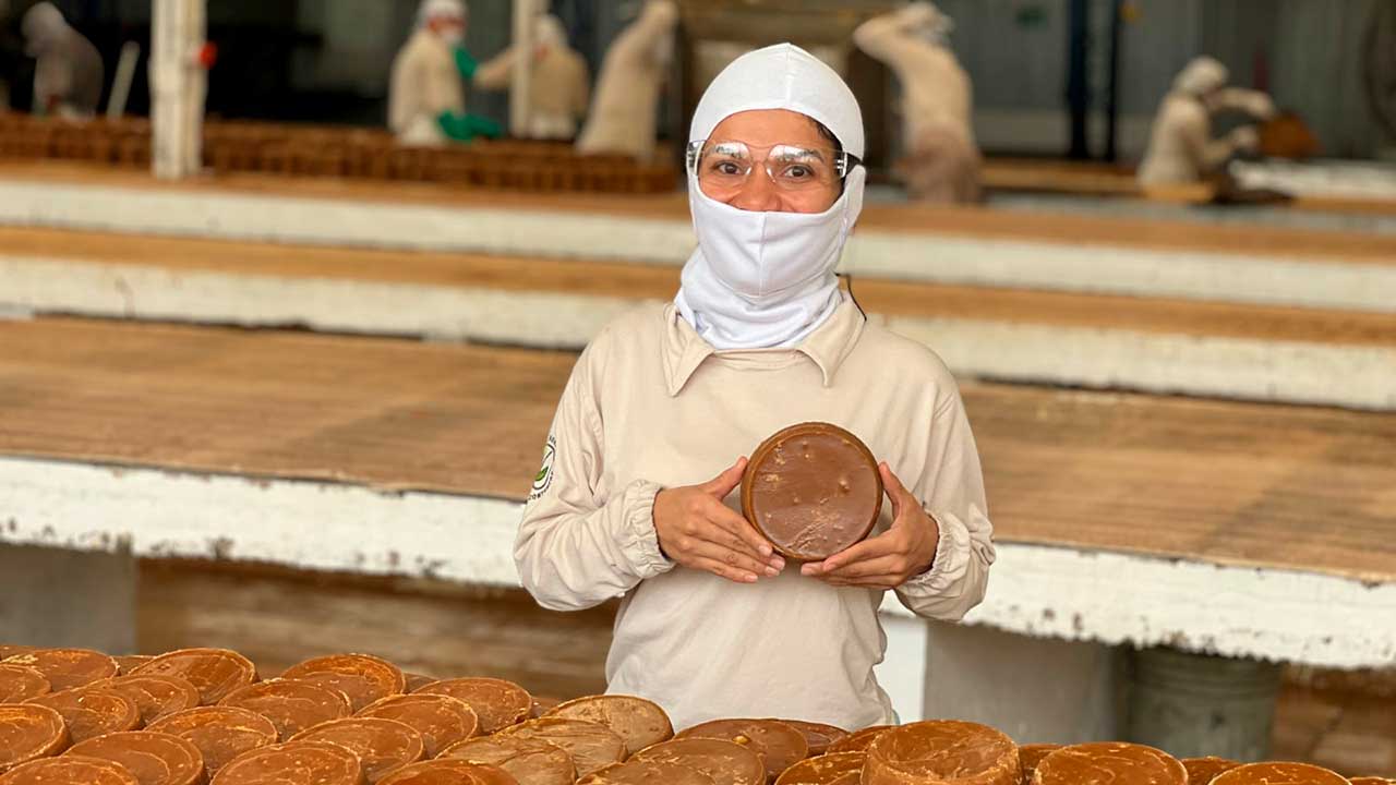 Más de 3.000 familias paneleras se reunirán en el Panela Fest 2026 en Pereira