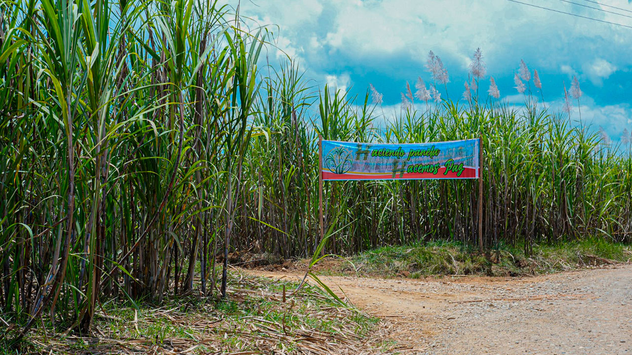 Gobierno condiciona avances en diálogos de paz a ruptura con economías ilícitas por parte de la Coordinadora Nacional – EB