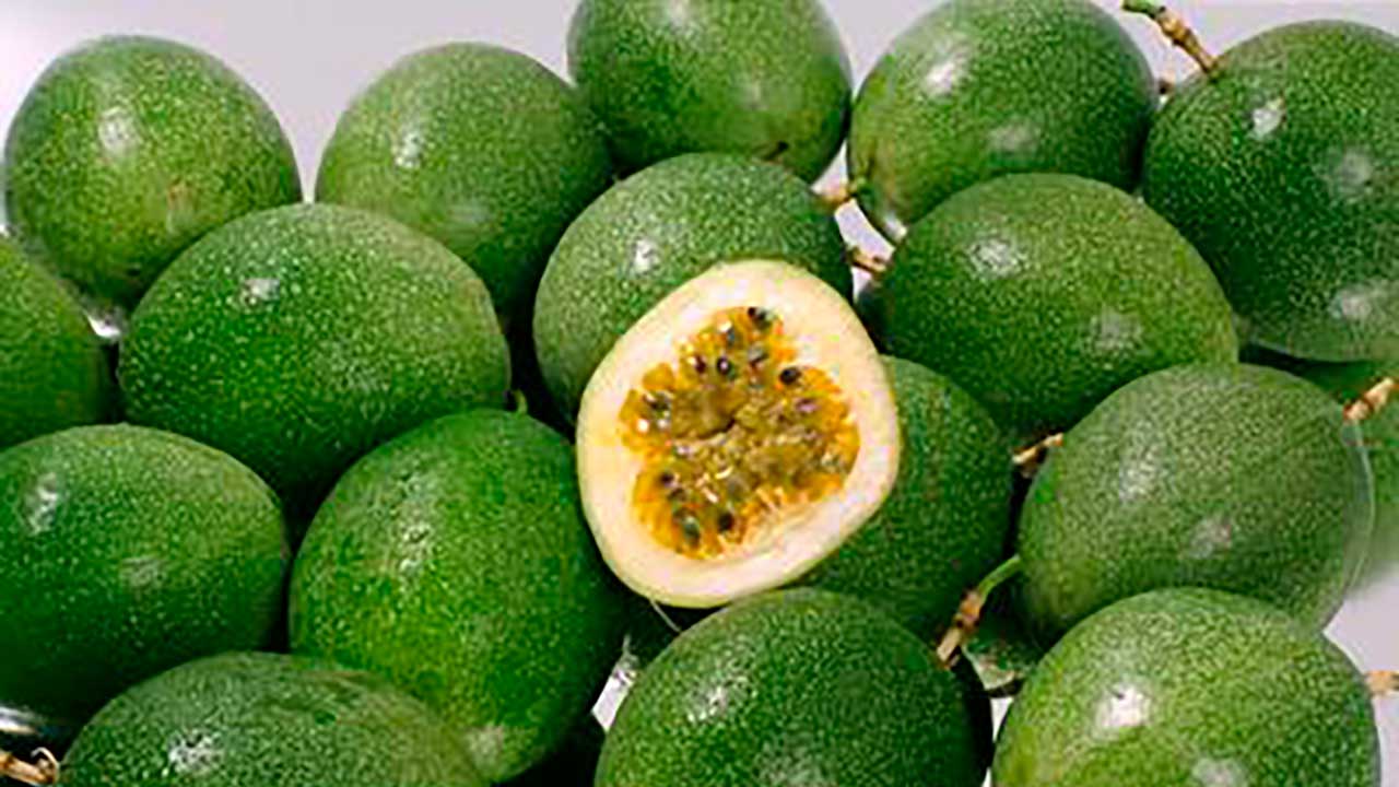 Frutas como maracuyá, granadilla, curuba y gulupa se consolidan en más de 30 mercados internacionales